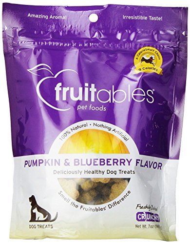 Fruitables Treat Pumpkin Blueberry 7oz