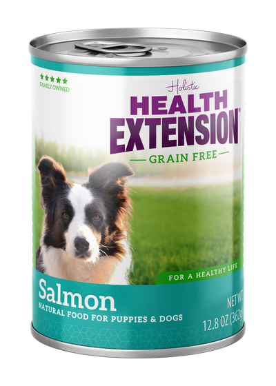 Holistic Health Extension Grain Free Salmon Canned Dog Food, 12.5oz