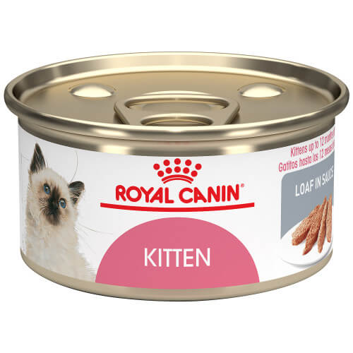canned royal canin kitten food formula