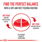 canin cat food balance graphic
