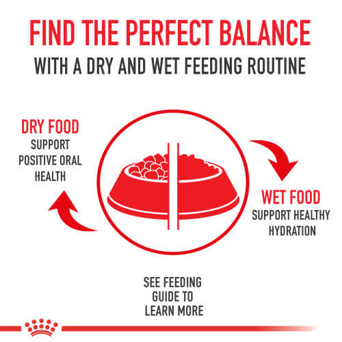 canin cat food balance graphic