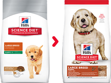 Science Diet Large Breed Puppy
