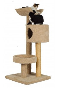 The Lookout    LIMITED QUANTITIES AVAILABLE!