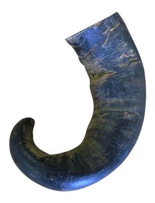 QT Dog Water Buffalo Horn Large