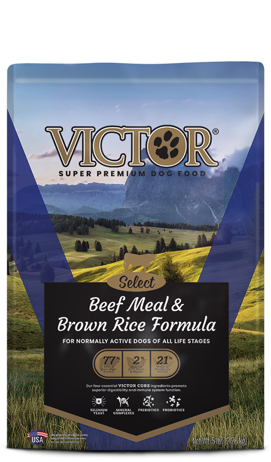 Victor Canine Beef and Rice