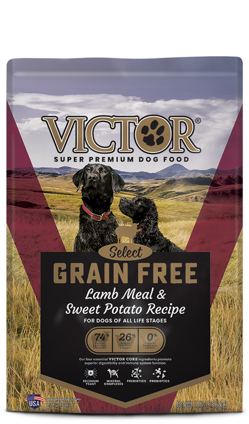 Victor Grain Free Lamb
