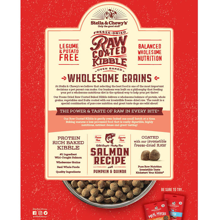 Stella & Chewy's Raw Coated Kibble with Wholesome Grains - Salmon