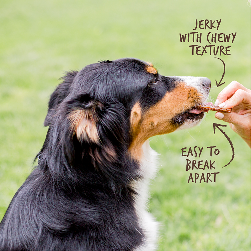 Wag More Bark Less Smoked Salmon Jerky 10oz